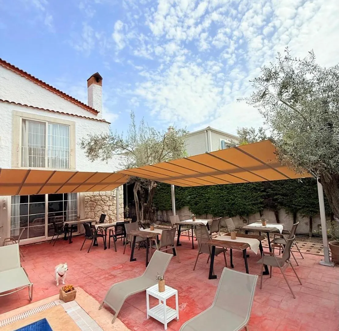 Rebetiko Hotel Alacati 2*,  Turcia